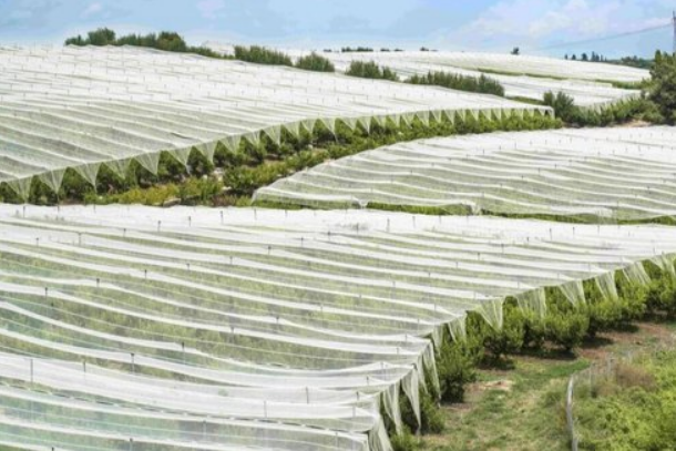 Modern Farming