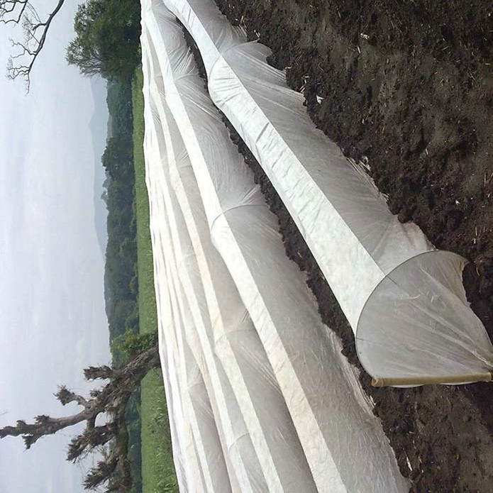Crop Protection