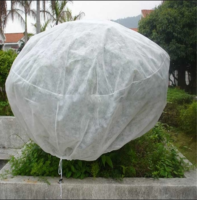 Home Gardens