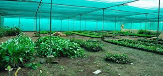 Nursery