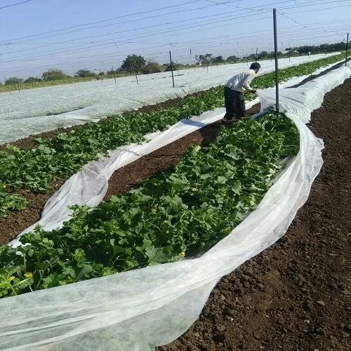 Farmer Solution