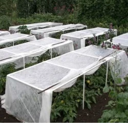 Sustainable Farming