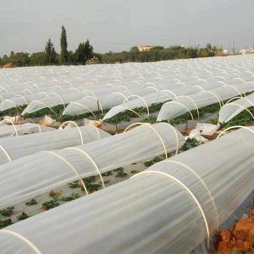 Organic Farming