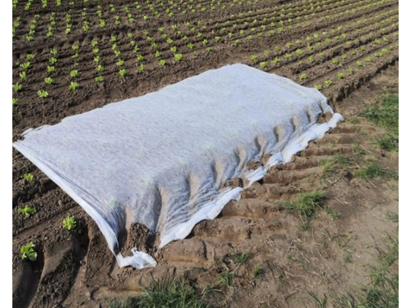 Modern Agriculture