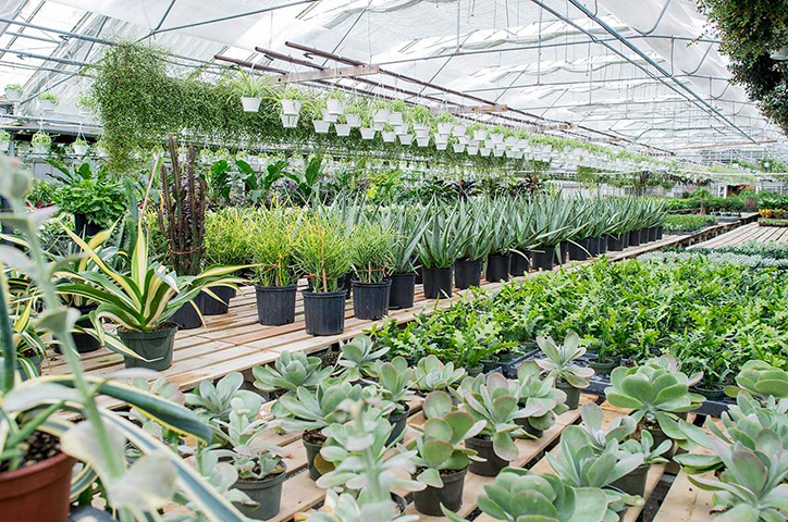 Nurseries